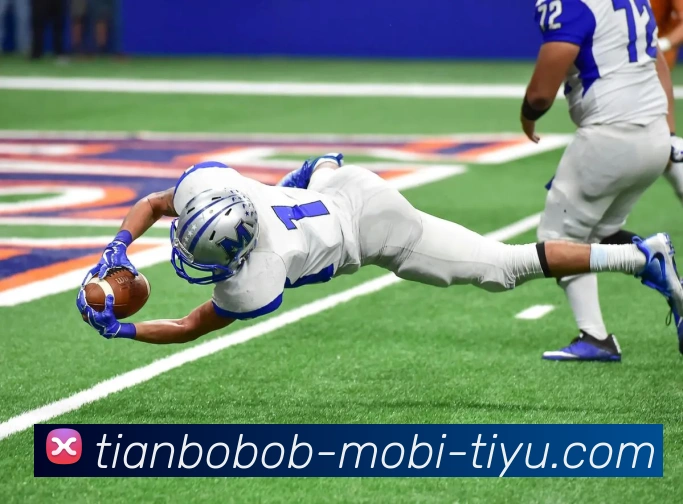 App Interface Preview