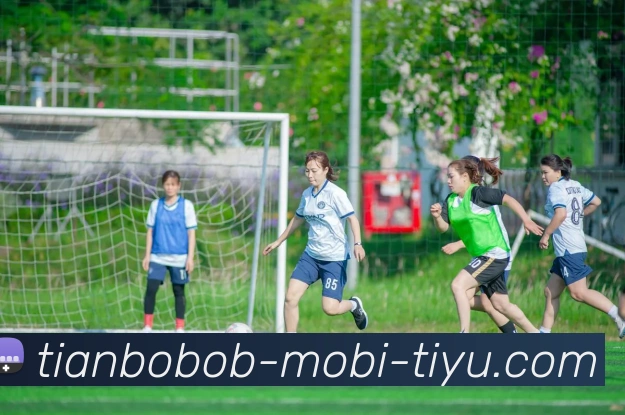 BOB体育APP 封面图